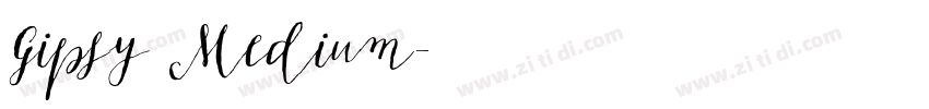 Gipsy Medium字体转换